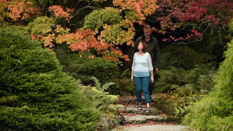 A couple walk down some steps overhung with autumn foliage and trees. the woman, who is in front, looks up enquiringly at the leaves